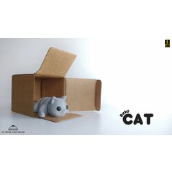 Baby cat