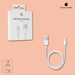 Apple Lightning - USB Kablosu (1 m)