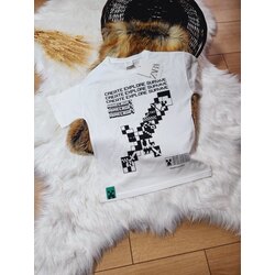 MINECRAFT TŞÖRT