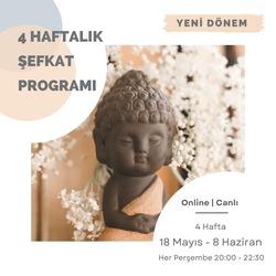4 Haftalık Şefkat Programı