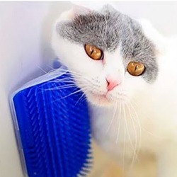 KEDİ KAŞIMA MASAJ FIRÇASI CAT İT
