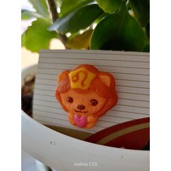 Aslan Burcu Charm 