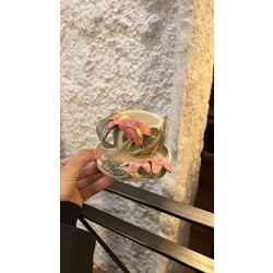 Çiçekli cup