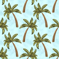 Transfer Paper BHS55