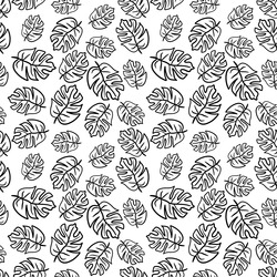 Transfer Paper BW67