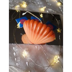 ışıltılı turuncu istridye 