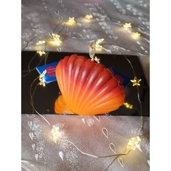 turuncu istridye