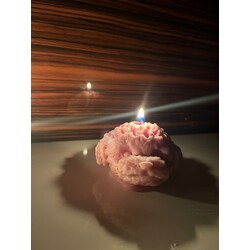 %100 DOĞAL EL YAPIMI KÖPEK FİGÜRLÜ SOYA WAX 
