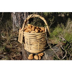 Tatlı Taş Bademi 1 KG