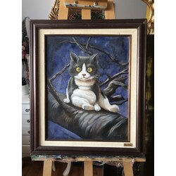şaşkın kedi...