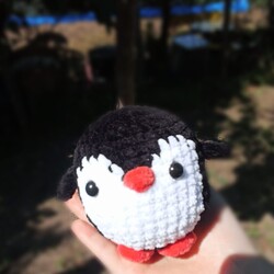 Siyah Sevimli Penguen 