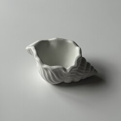 Sea Shell Decor