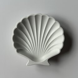 Deniz Kabuğu Dekor & Takı 