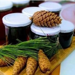 ÇAM KOZALAĞI PEKMEZİ 
