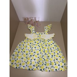 kanatli  askili limon