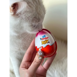 ÖZEL KINDER YUMURTA İÇİNDE YÜZÜK