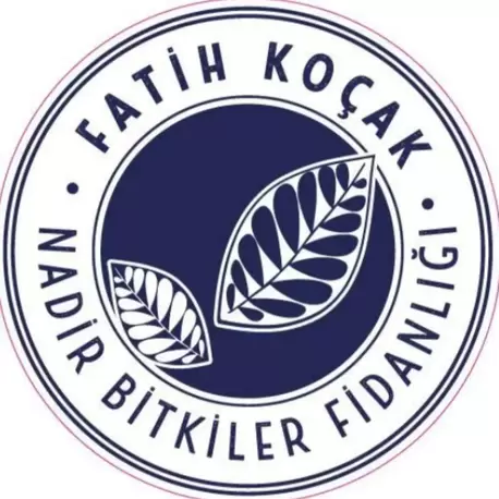 2026 / Soğanlı Bitkiler Dikim-Bakım Rehberi
