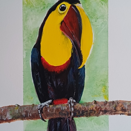 tucan