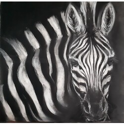 zebraa