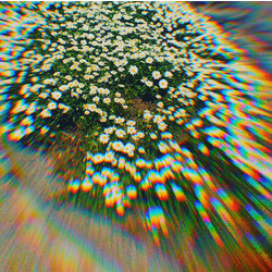 Daisies