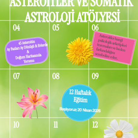 ASTEROİTLER VE SOMATİK ASTROLOJİ WORKSHOP