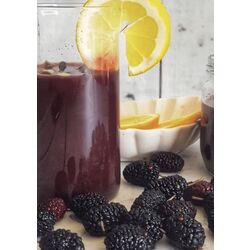 Karadut Şurubu 360g