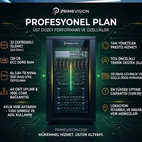 Profesyonel Plan 12 Aylık