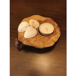 Shell