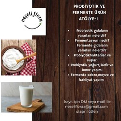 Probiyotik ve Fermente Ürünler Atölye-1 