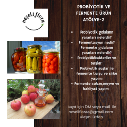 Probiyotik ve Fermente Ürünler Atölye-2