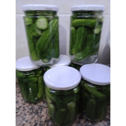 Probiyotik Kornişon Turşu(4 adet , 4x600 ml)