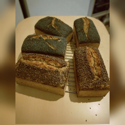 Karakılçık Tam Buğday 1 kg