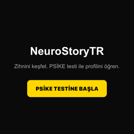 PSİKE Psikolojik Profil Testi — Detaylı Rapor