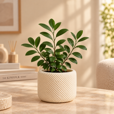 Modern Dekoratif Saksı & Sukulent Kabı - Çapraz Dokulu (9.5 cm)