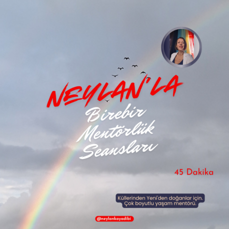 Birebir Mentörlük Seansları (45 Dakika)