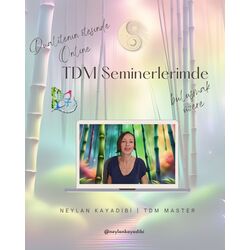 TDM1 Yaratımın Temelleri 