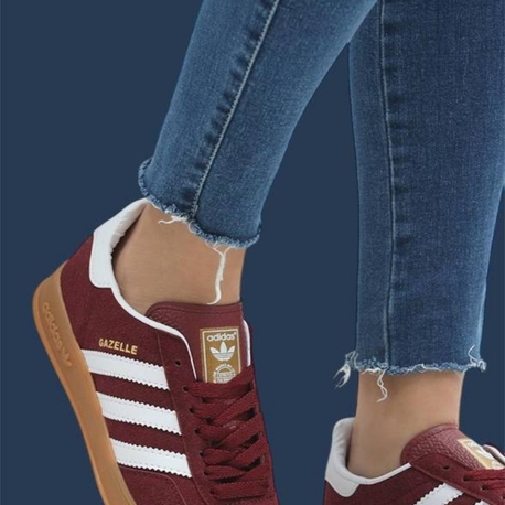 gazelle 