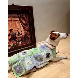 Eye of the Monster Wearable Dog Blanket