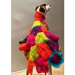 The Gypsy Peacock Wearable Dog Blanket