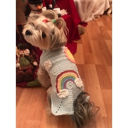 After Rain Wearable Dog Blanket