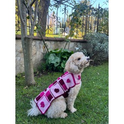Love of All Wearable Dog Blanket