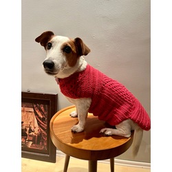 Pinky Wearable Dog Blanket