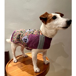 The Haunted Wearable Dog Blanket