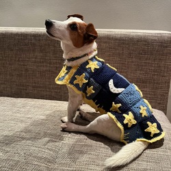 Wizard of the Night Wearable Dog Blanket