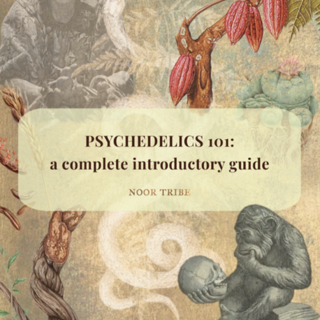 PSYCHEDELICS 101: A PSYCHONAUT'S GUIDE