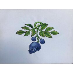 Berry