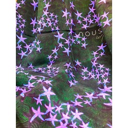 Starfish purple