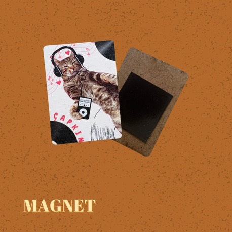 Müzik Dinleyen Çapkın Magnet