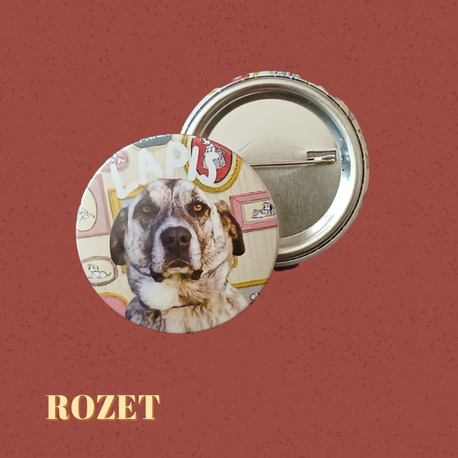 Lapis Rozet
