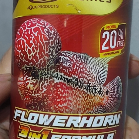 CZ Help  Gold Flowerhorn 3 'lü formül